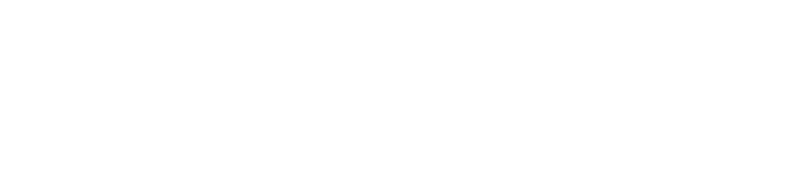 Your Company